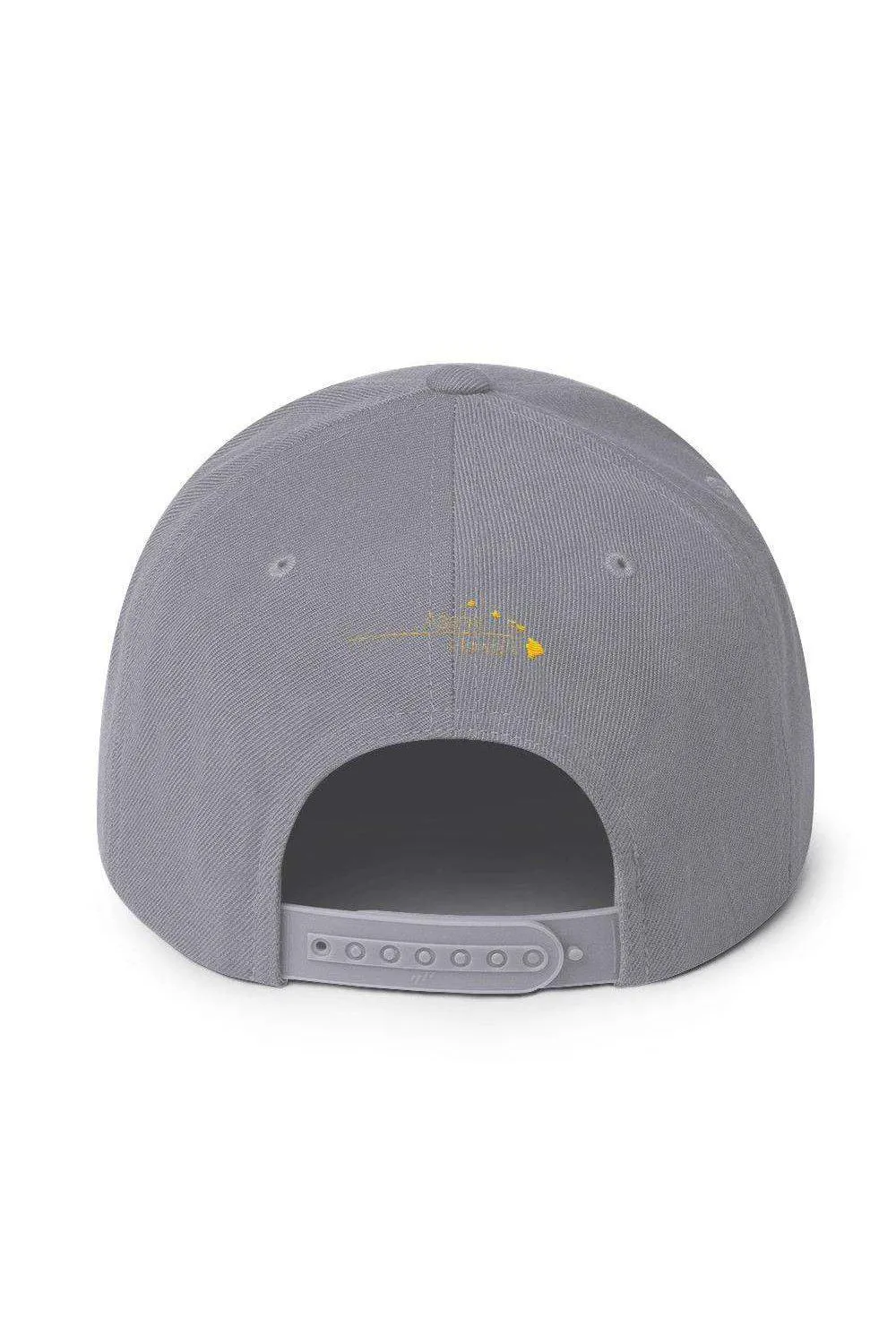 Asana Hawaii Snapback Hat