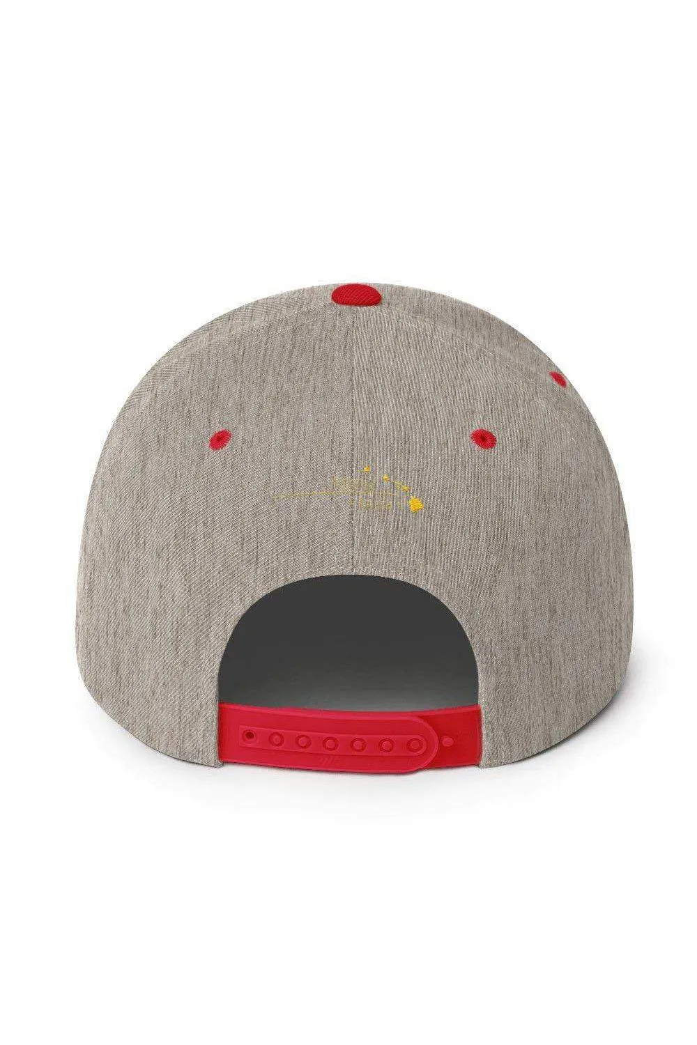 Asana Hawaii Snapback Hat
