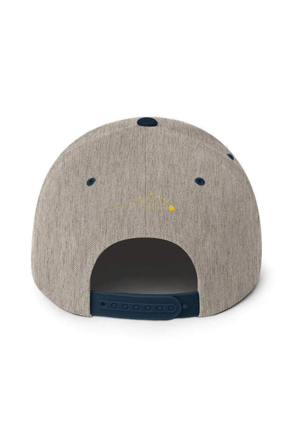 Asana Hawaii Snapback Hat