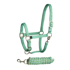 Bitz Stripe Two Tone Headcollar/Lead Rope