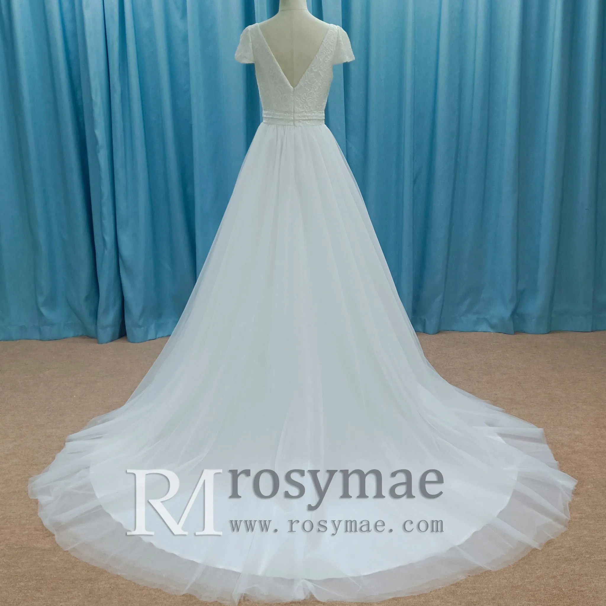 Capped Short Sleeve A-line Tulle Wedding Dress with Vneck