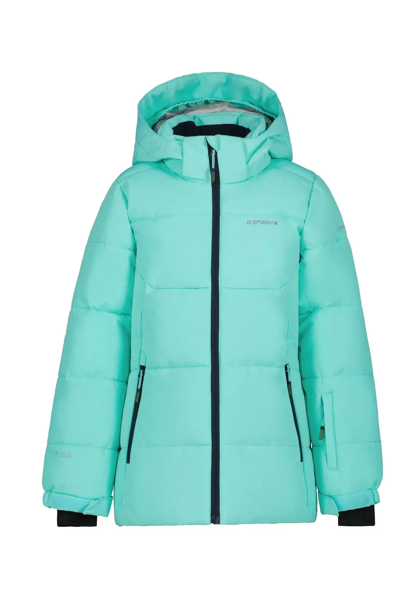 Icepeak Loris Jr Girl's Ski Jacket