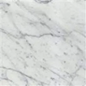 Italian White Carrara Marble Polished 12 x 12 Floor Tiles - small sample listing....
