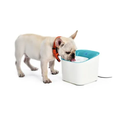 Lenoxx Smart Pet 3L Cat/ Dog Drinking Water Purifier Fountain w/ Filter/ Sensor